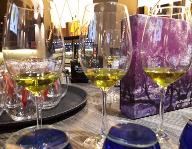 Cata-maridaje en the taste wine bar